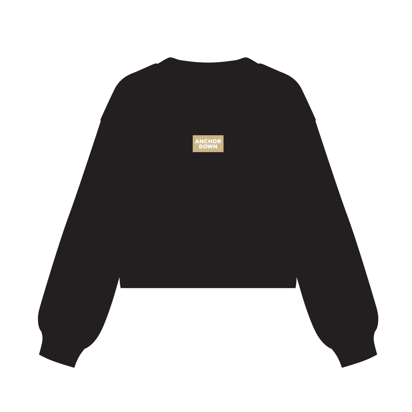 The Becca Boxy Crewneck Anchor Down Woven Label | Black
