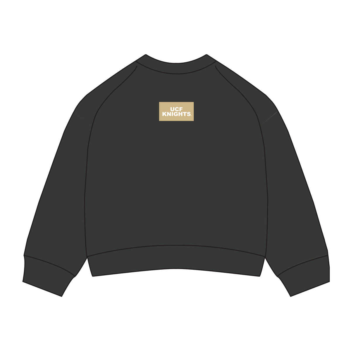 The Ava Airy Crewneck UCF Knights Woven Label | Graphite