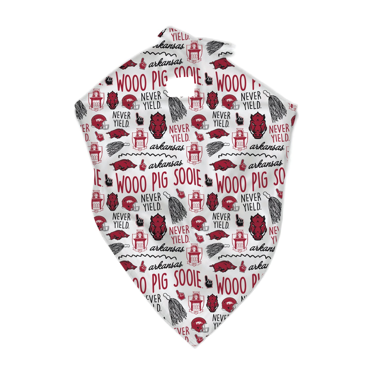 The Sophia Scarf | Arkansas