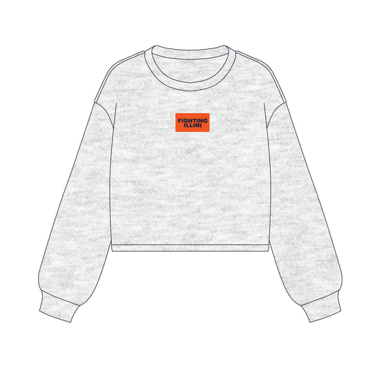 The Becca Boxy Crewneck Fighting Illini Woven Label | Youth Ash