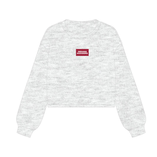 The Becca Boxy Crewneck Indiana Hoosiers Woven Label | Ash
