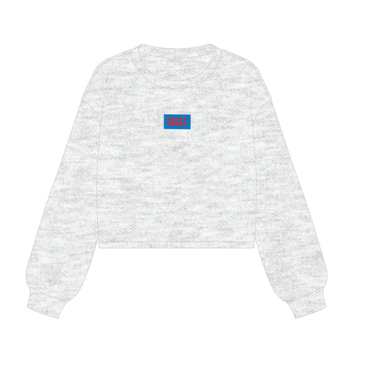 The Becca Boxy Crewneck Hotty Toddy Woven Label | Ash