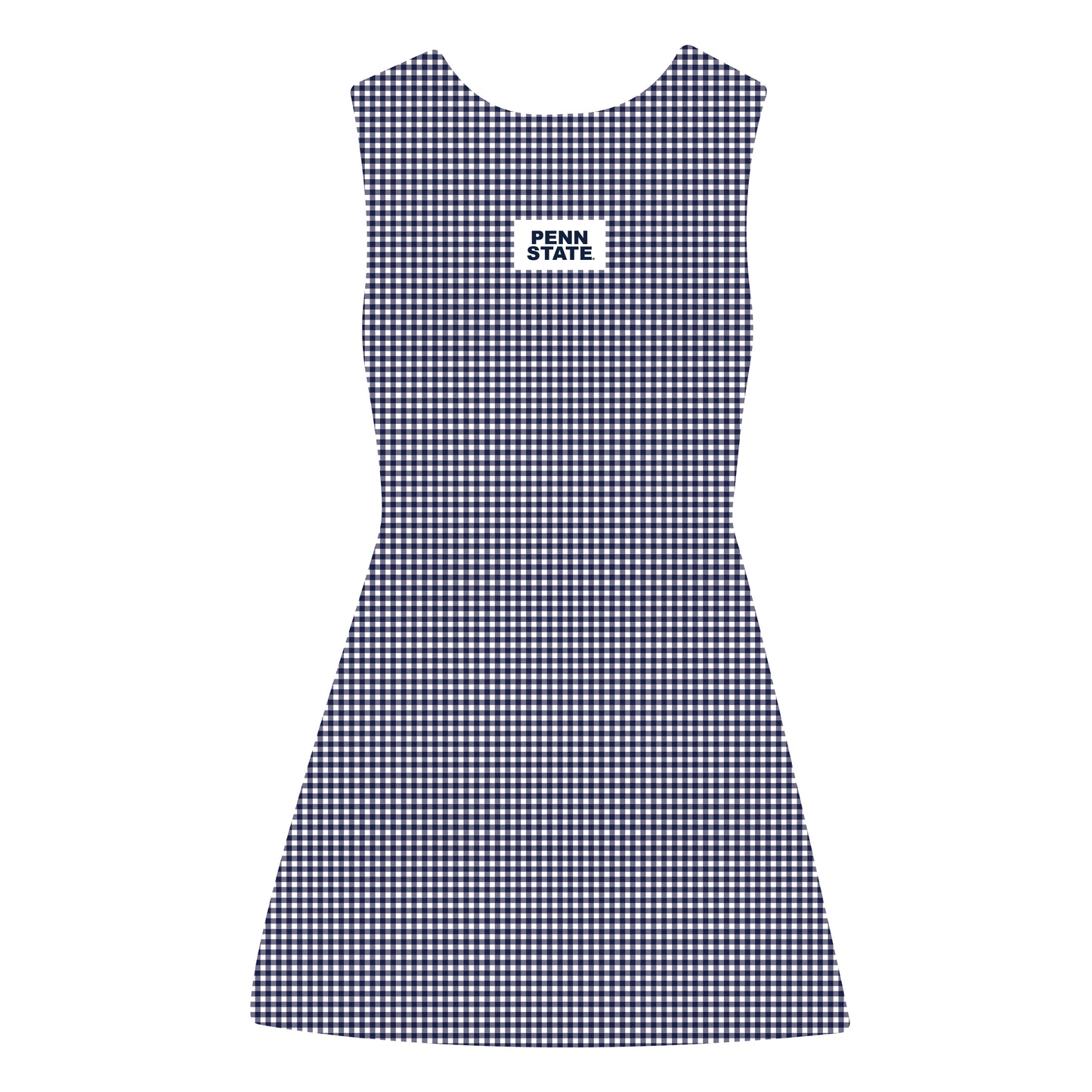 The Grace Gingham Dress Penn State Woven Label | Navy