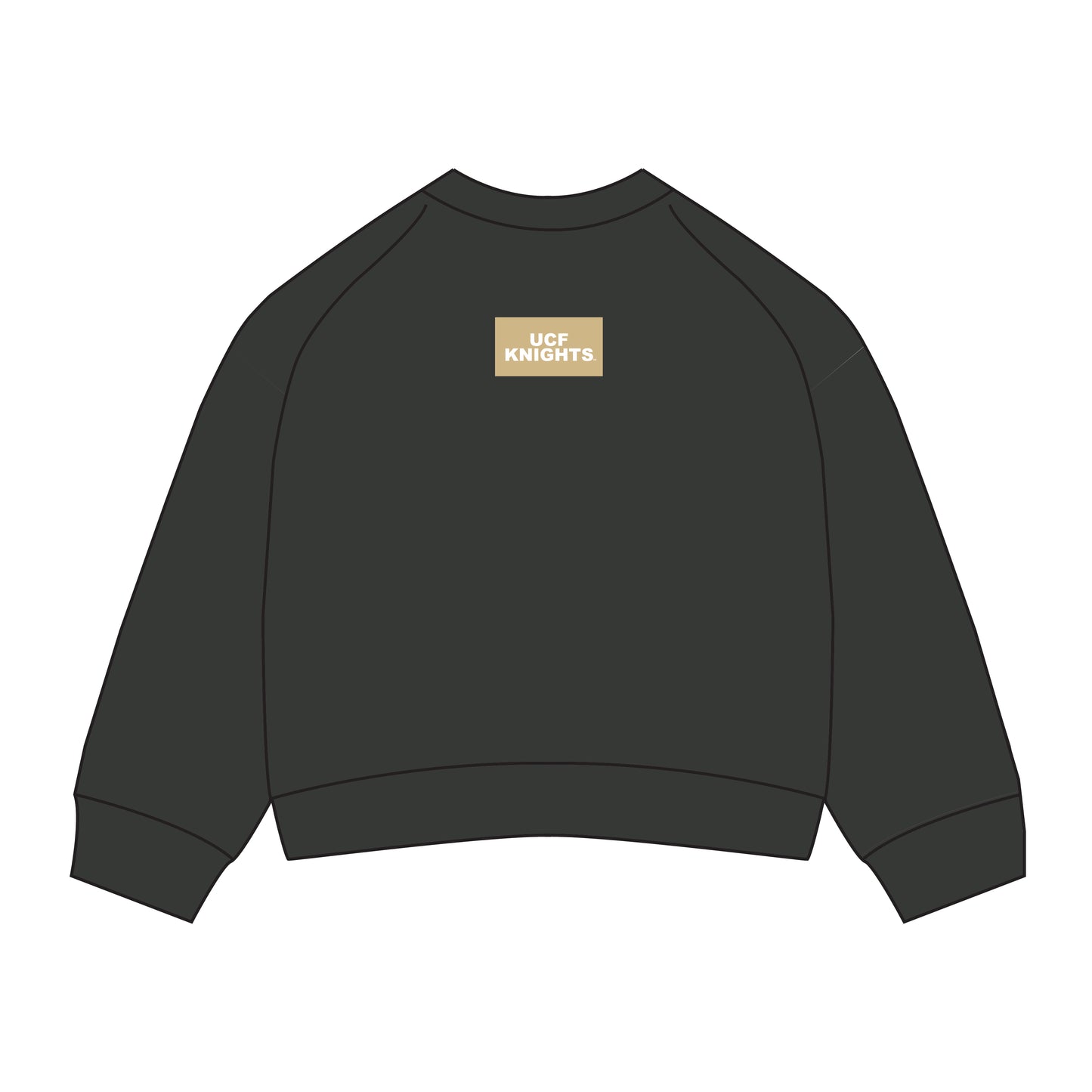 The Ava Airy Crewneck UCF Knights Woven Label | Youth Graphite