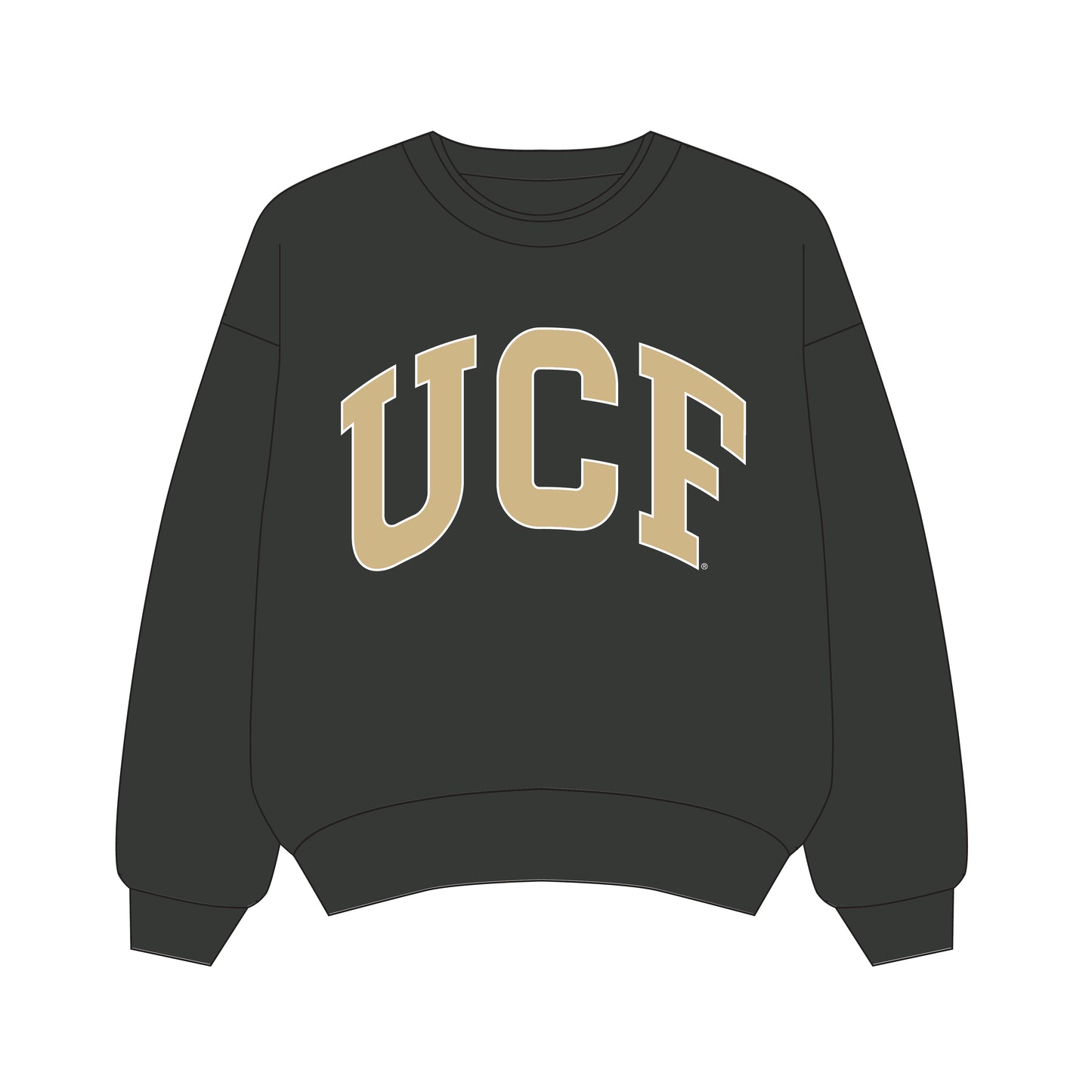 The Olivia Oversized Crewneck UCF | Youth Graphite
