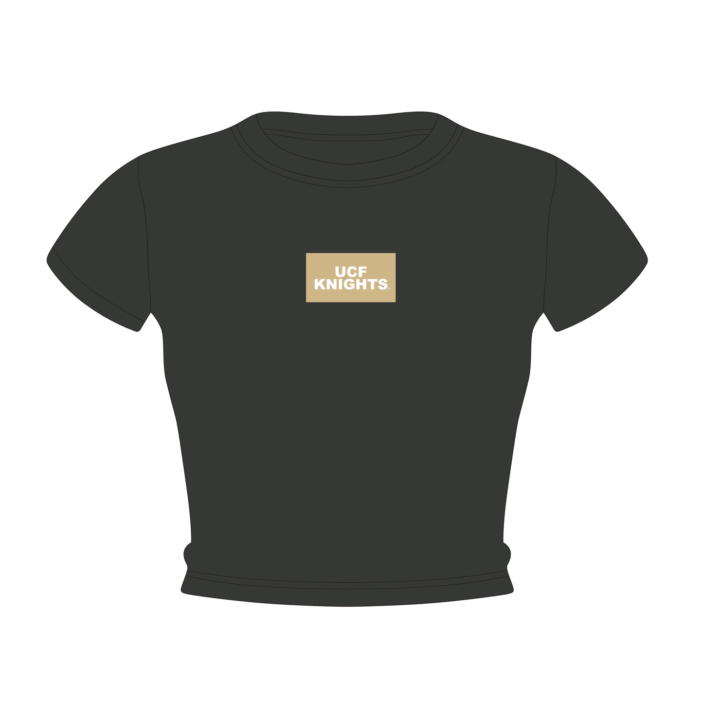 The Raegan Ribbed Baby Tee UCF Knights Woven Label | Graphite